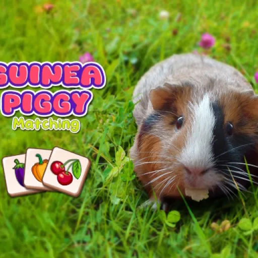 Guinea Piggy Matching