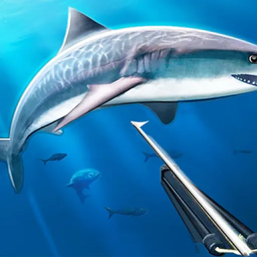 Hunting underwater spearfishing