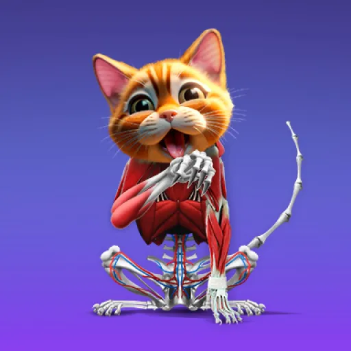 IDLE Animal Anatomy