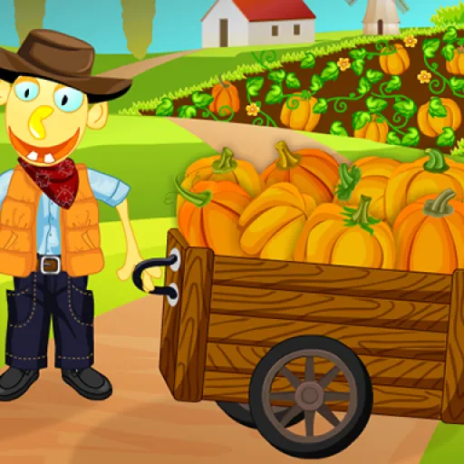 Pumpkin Patch