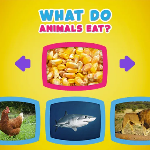 What do animals eat
